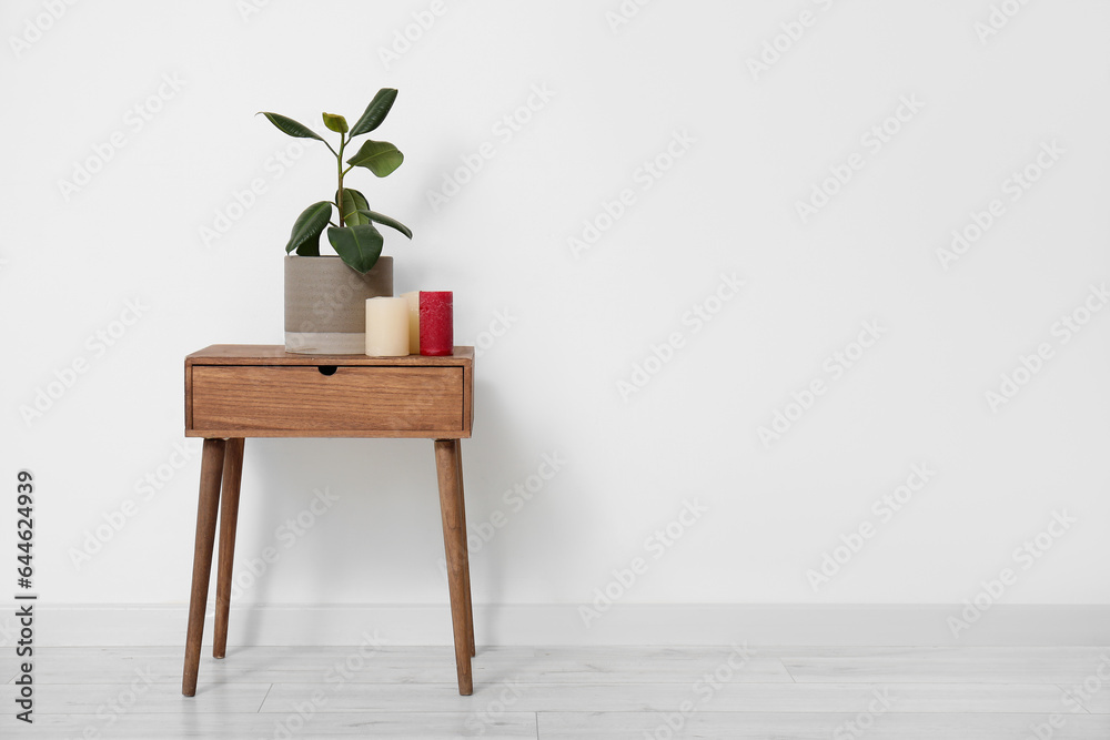 Green plant with candles on table near light wall in room