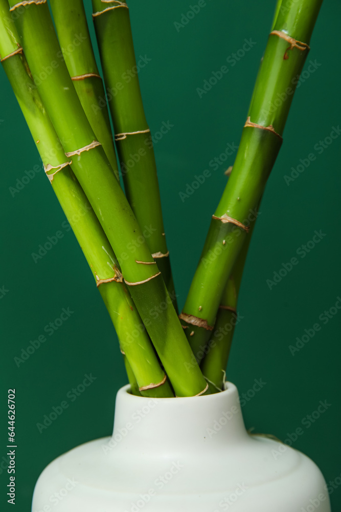 Vase with bamboo stems on color background, closeup