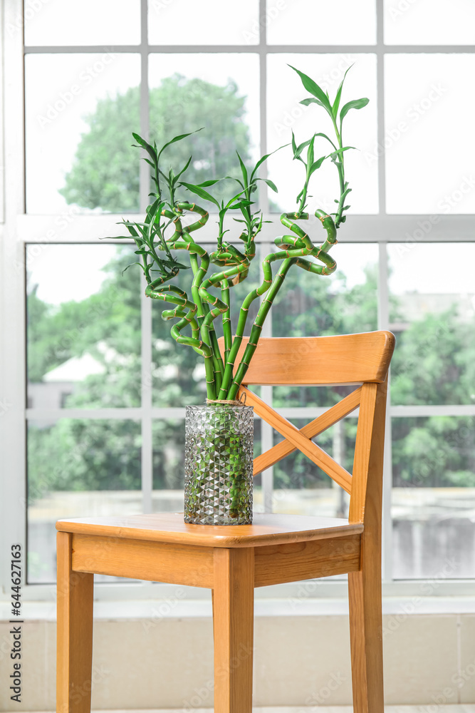 Vase with bamboo stems on wooden chair near window