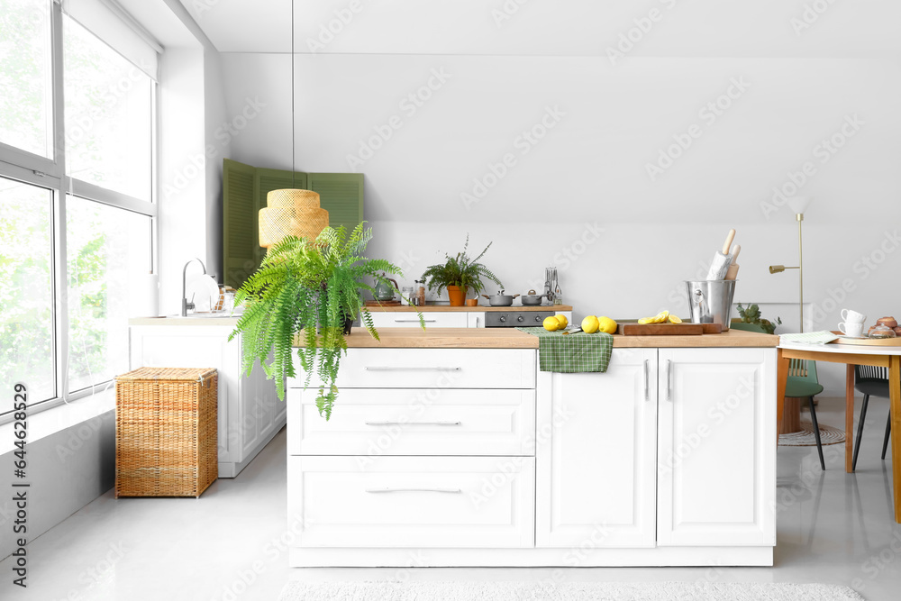 White counters with houseplant, utensils and lemons in modern kitchen