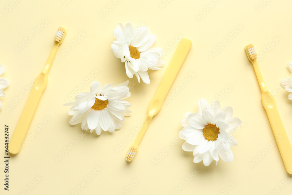 Composition with toothbrushes and beautiful chamomile flowers on color background