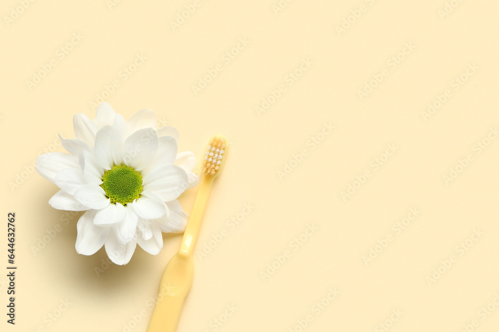 Toothbrush and beautiful chamomile flower on color background