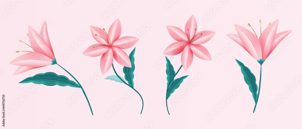 Delicate lily flower element set