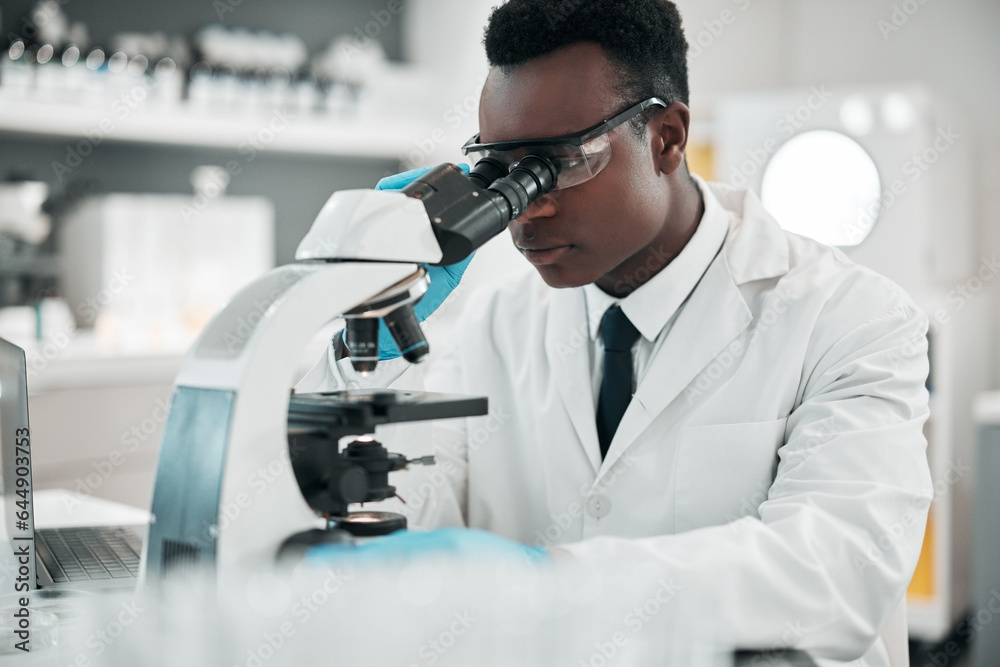 Microscope, black man or biotechnology with research, medical or data analysis with experiment. Afri