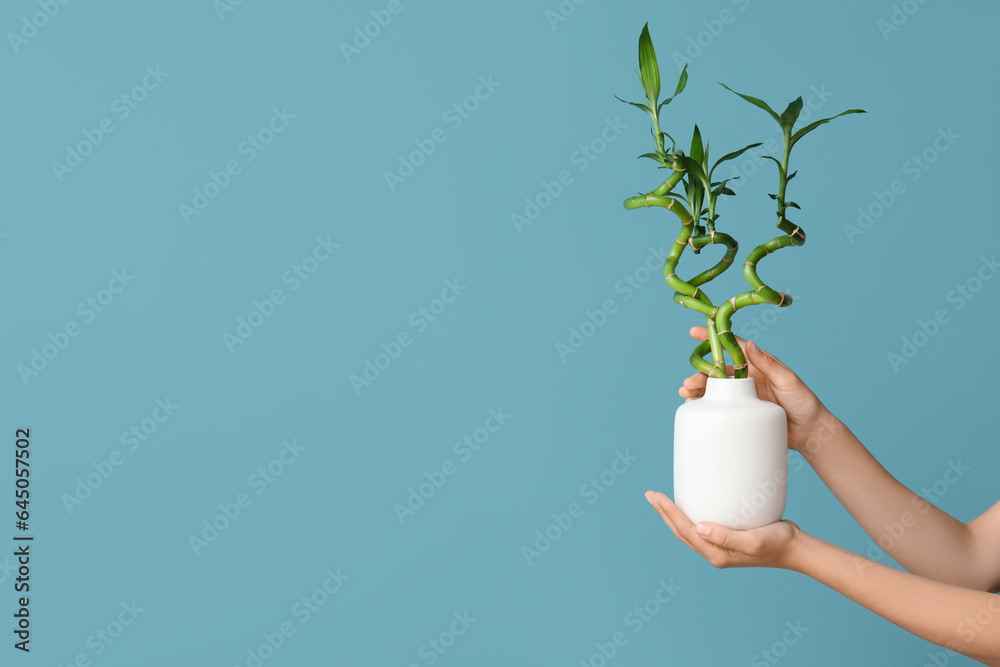 Woman holding vase with bamboo stems on color background