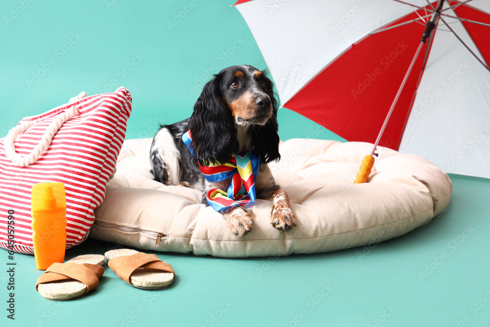 Cute cocker spaniel with beach accessories on green background