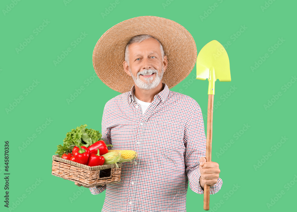 Mature male farmer with wicker basket full of different ripe vegetables and shovel on green backgrou