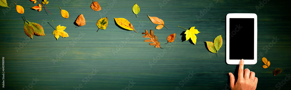 Autumn leaves with person using a tablet computer from above