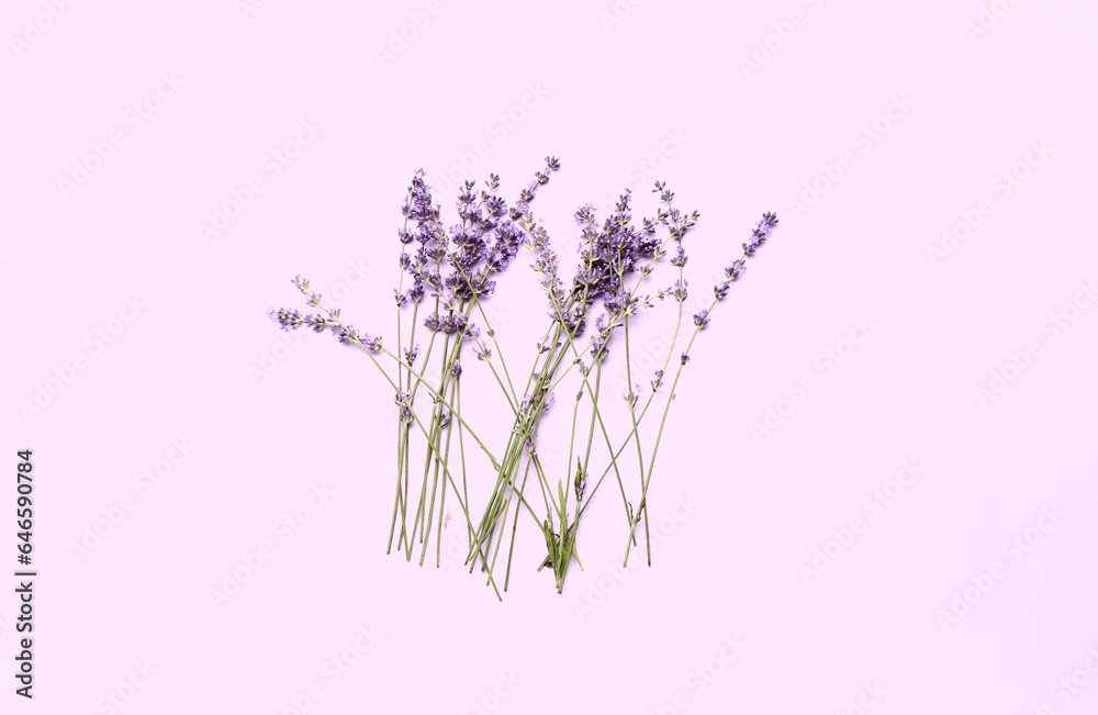 Branches of beautiful lavender flowers on light purple background