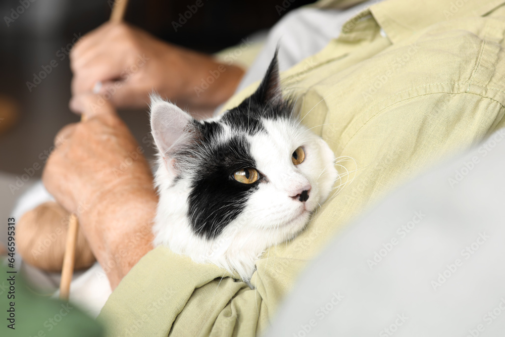 Senior woman with cute cat and knitting needles resting at home