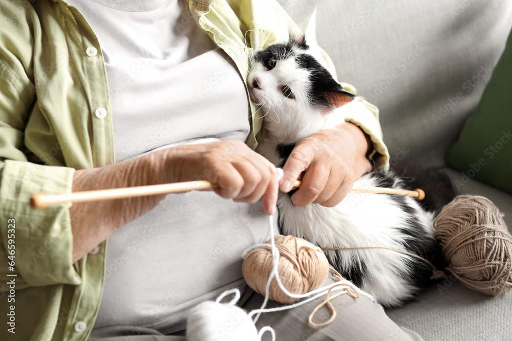 Senior woman with cute cat and knitting needles resting at home