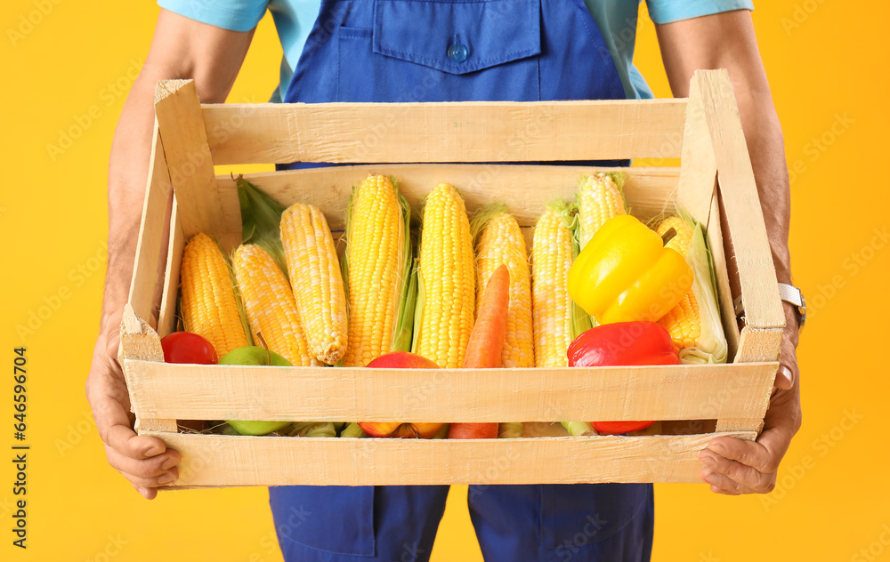 Mature male farmer with wooden box full of different ripe vegetables on yellow background