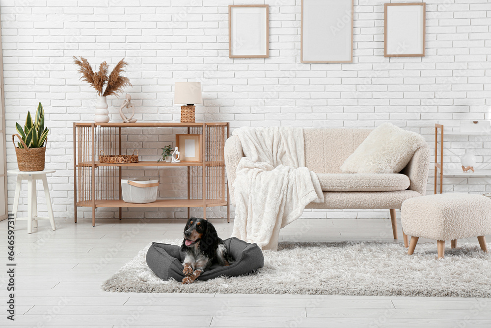 Cute cocker spaniel on pet bed in living room