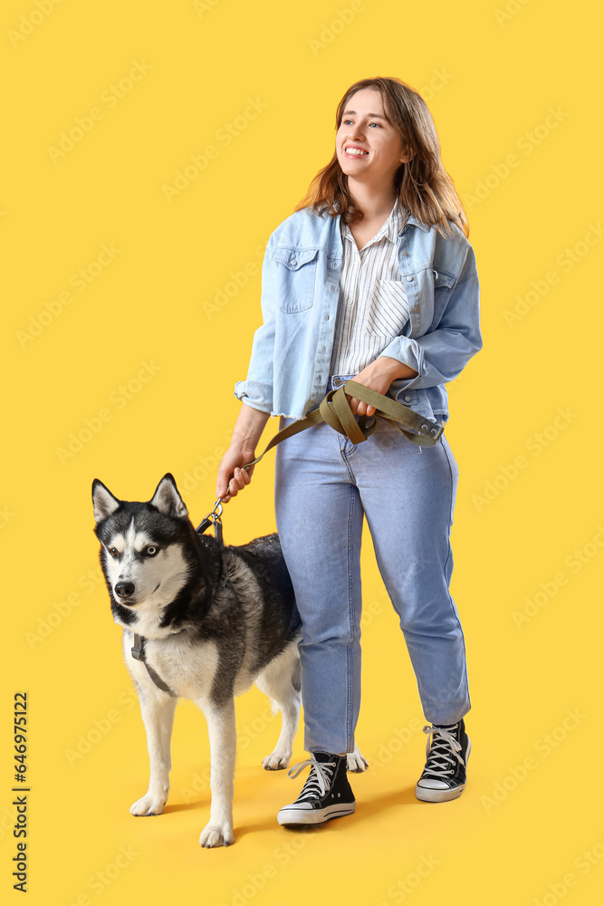 Going young woman with husky dog on yellow background