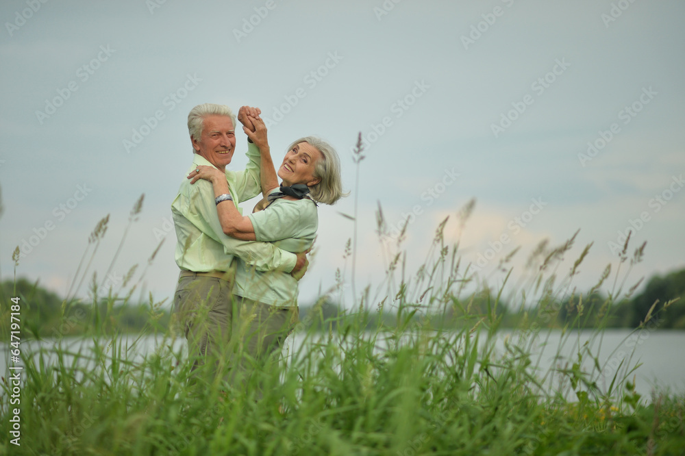 Portrait of beautiful senior couple dancing in the park