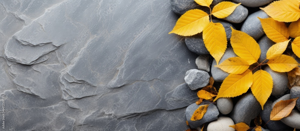 Autumn leaves on top of close up gray stone background in clear sunny weather