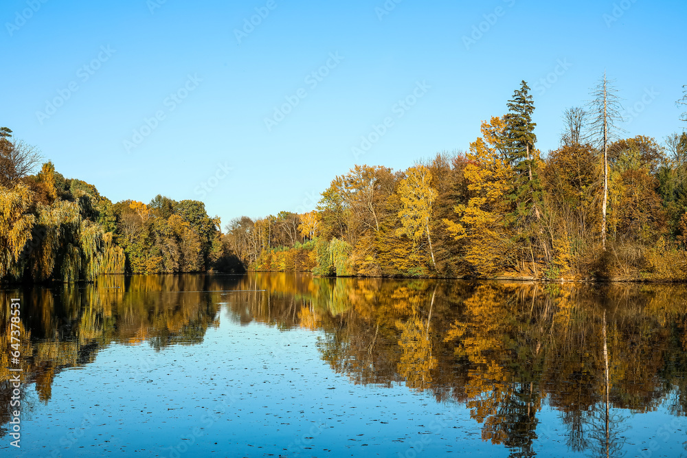 View of beautiful lake and yellow trees on autumn day