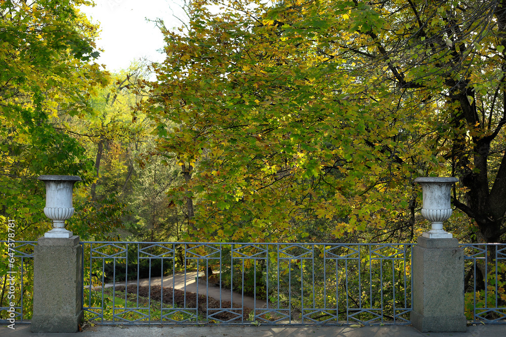 View of beautiful autumn park with trees and fence