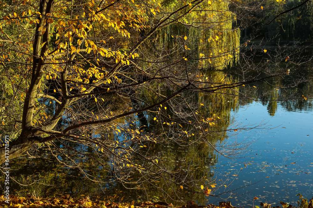 View of beautiful lake and yellow trees on autumn day