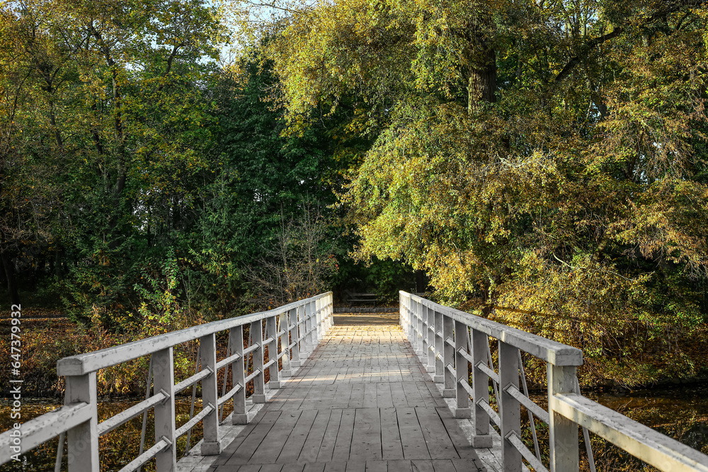 View of beautiful autumn park with trees and bridge