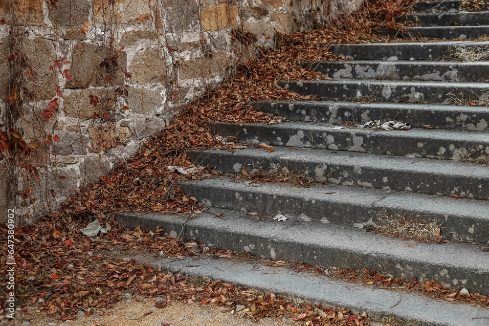 View of stairs with fallen leaves on autumn day