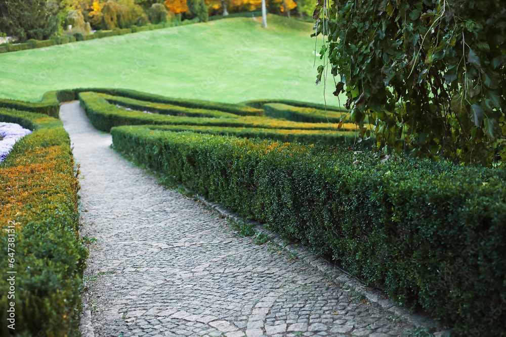 View of beautiful autumn park with green bushes and alley