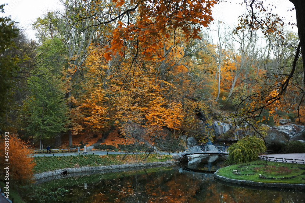 View of beautiful autumn park with trees, lake and bridge