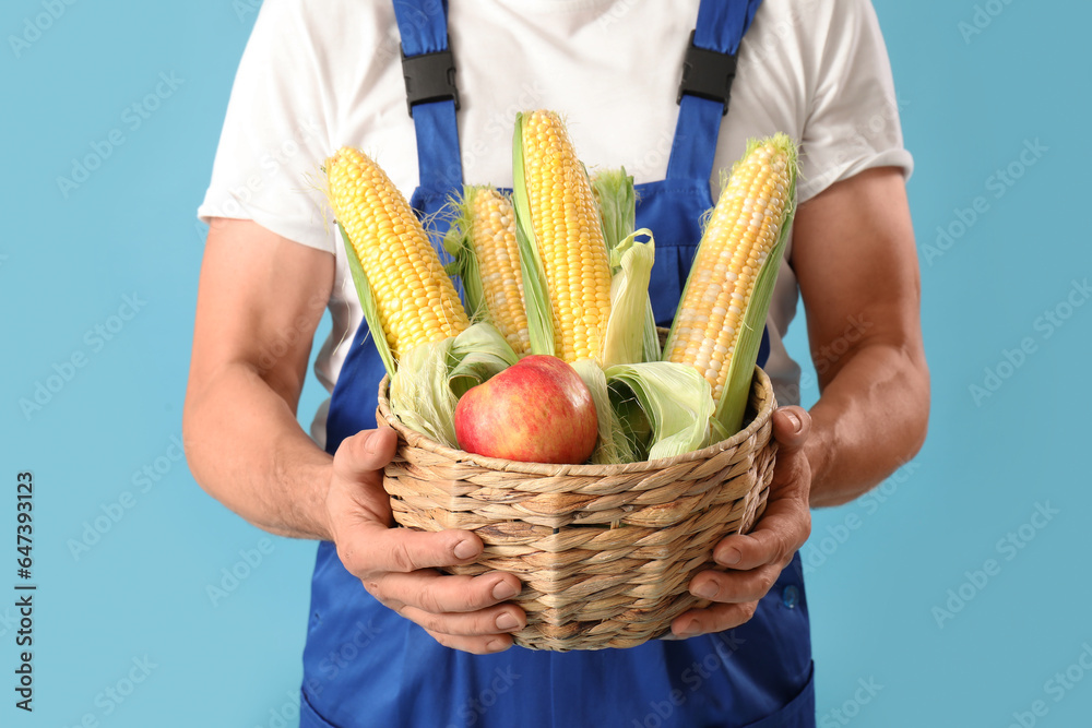 Mature male farmer with wicker basket full of corn cobs and apple on blue background