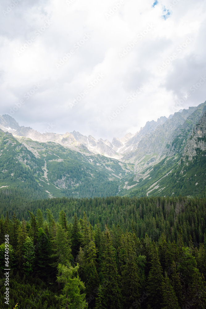 Breathtaking view of the mountains on a hiking trail, among the forest, and an alpine lake. Location