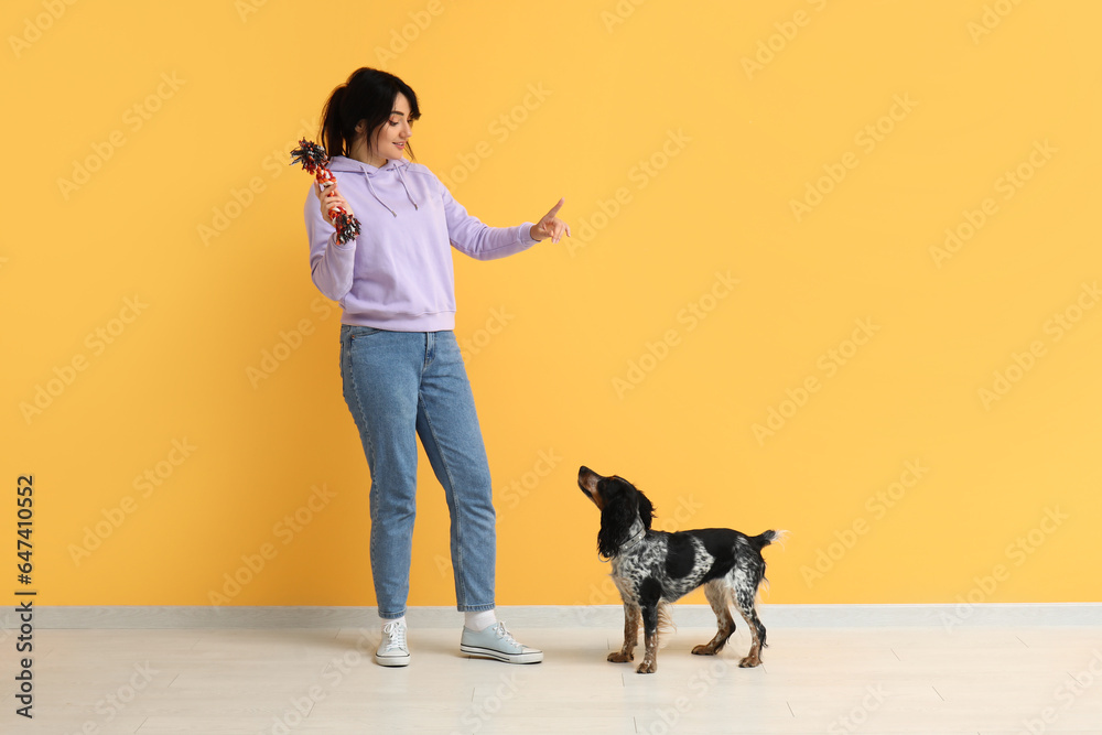 Female dog handler training pet on yellow background