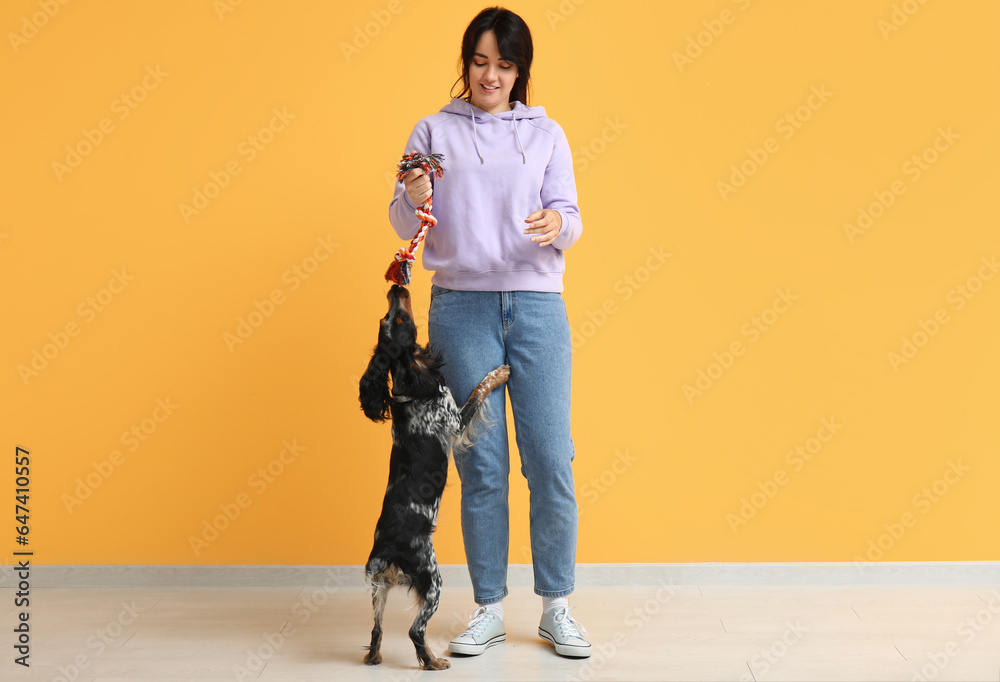 Female dog handler training pet on yellow background