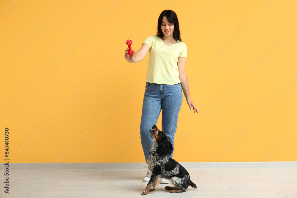 Female dog handler training pet on yellow background