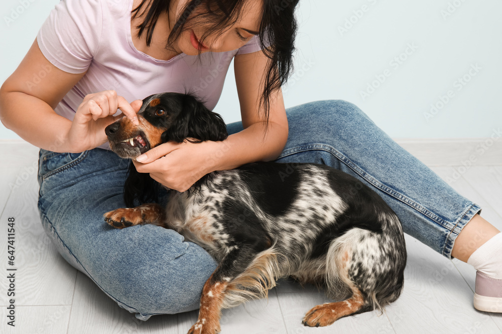 Woman examining dogs teeth at home