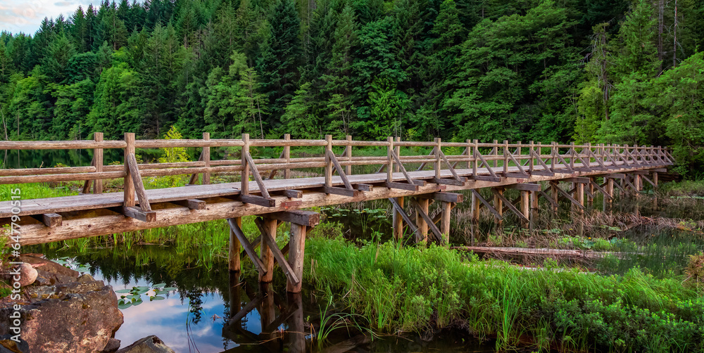 Wooden trail by the lake in Canadian Nature.