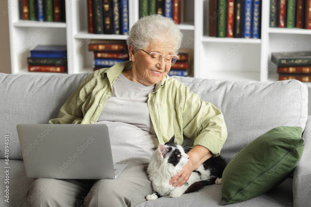 Senior woman with cute cat and laptop resting at home