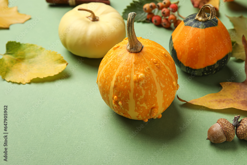 Composition with ripe pumpkins and natural forest decor on color background, closeup