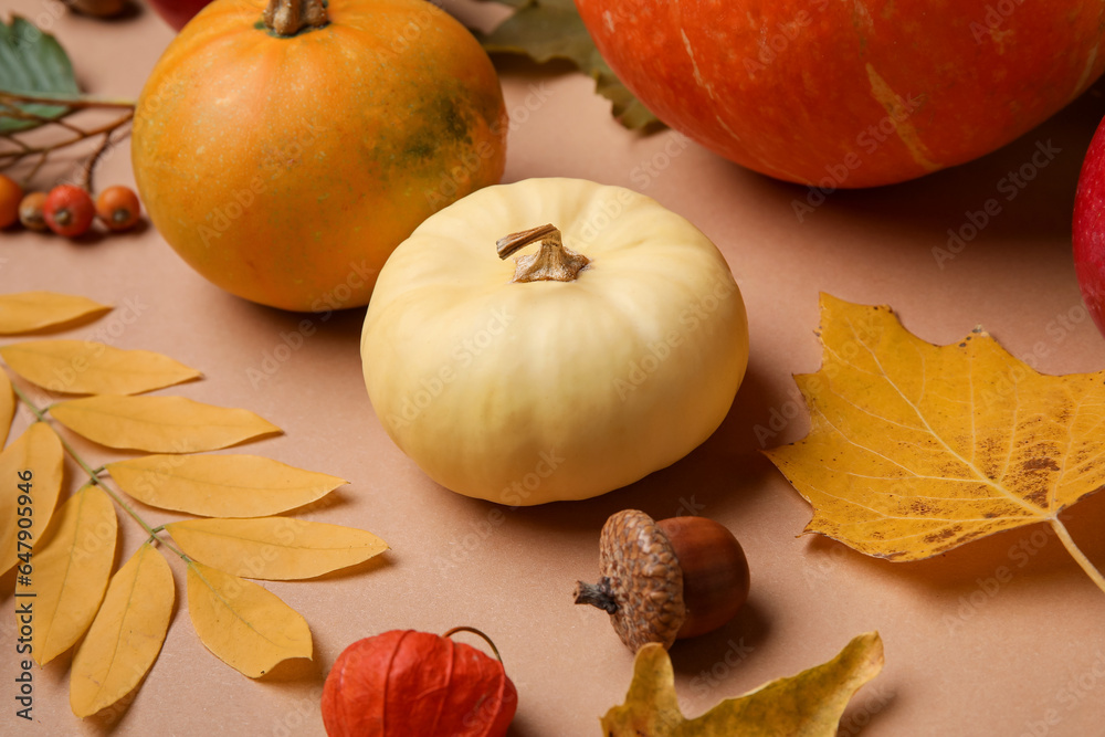 Ripe pumpkins and natural forest decor on color background, closeup