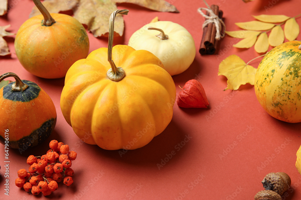 Composition with different pumpkins and natural forest decor on color background