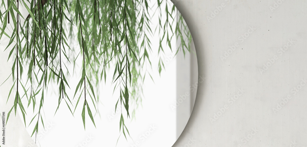 Close up of round vanity mirror with reflection of green willow tree foliage in sunlight for luxury beauty, fashion, cosmetic, skincare, body care product background 3D