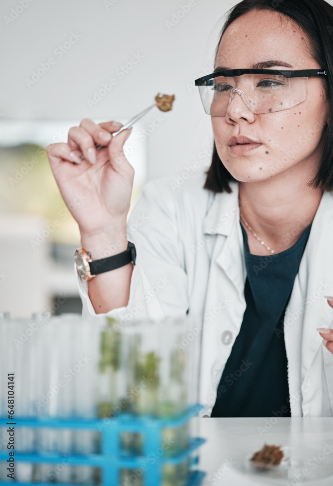 Science, plant sample and Asian woman in laboratory for analysis, medical research and study. Horticulture, pharmaceutical and scientist with plants for testing, innovation and medicine development