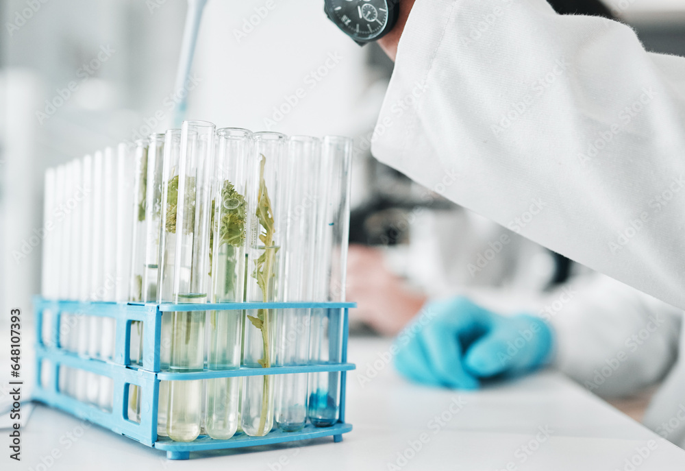 Science, research and test tube with leaves in biotech laboratory, vaccine solution or medical innovation. Healthcare, lab analytics and medicine, scientist with pipette in pharmaceutical plant study