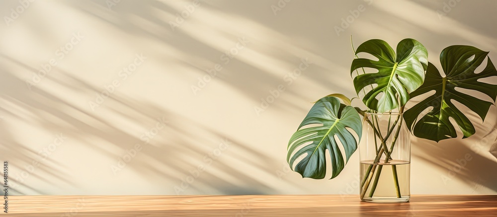 Simplified interior with monstera stem in vase beside glass cup on table