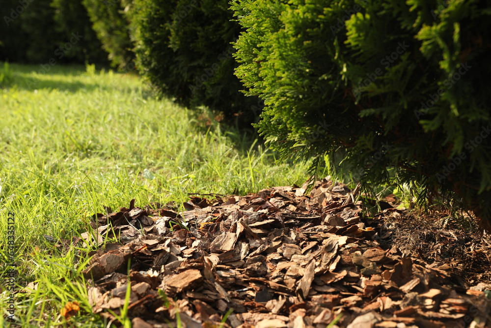 Heap of bark chips on green grass in garden