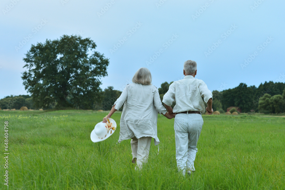 Couple in love holding hands on a walk in the park in summer