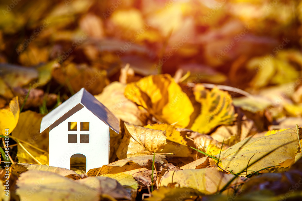 The symbol of the house stands among the fallen autumn leaves 