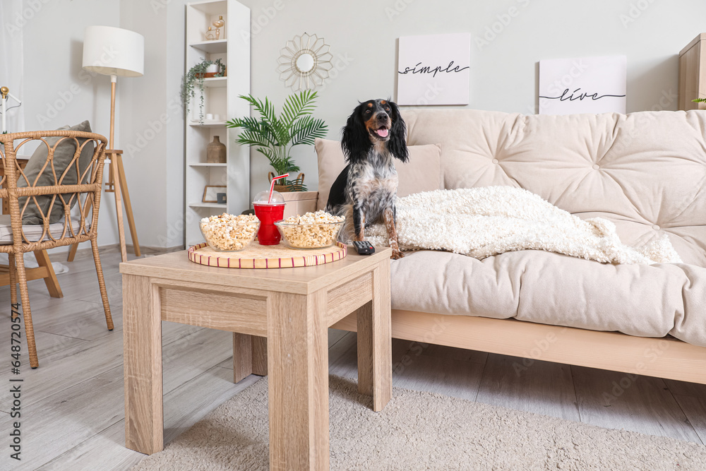 Cute cocker spaniel dog with bowls of popcorn, soda and TV remote sitting on sofa in living room