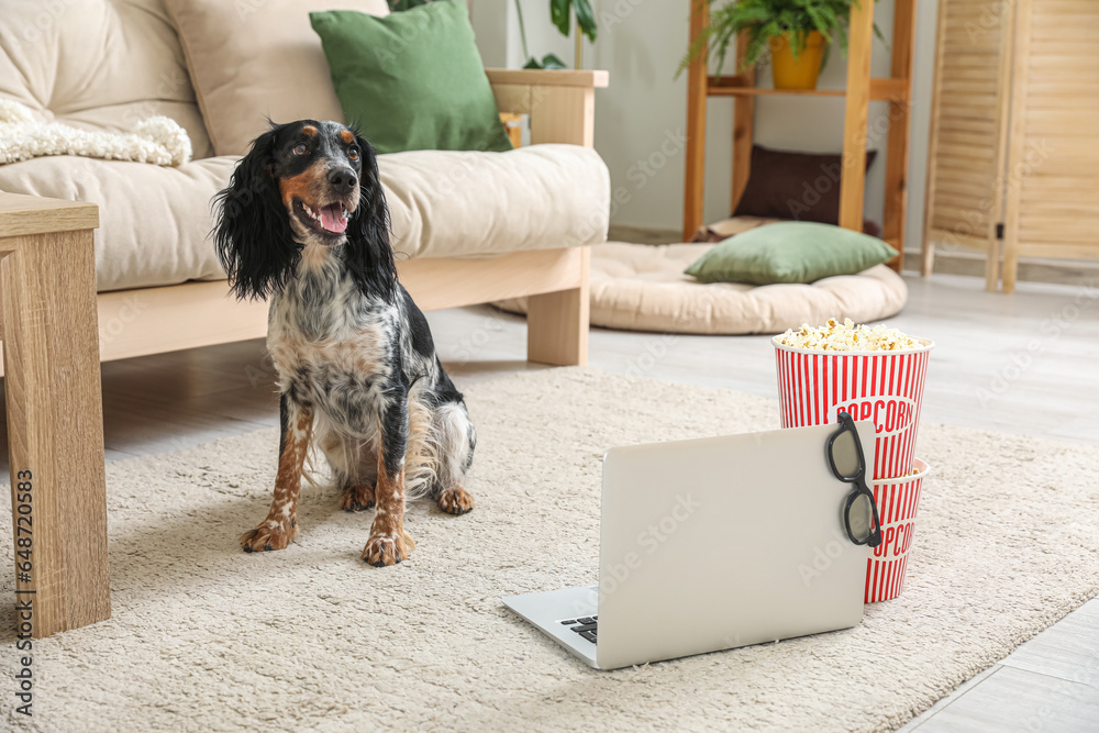 Cute cocker spaniel dog with buckets of popcorn, laptop and 3D cinema glasses sitting on carpet in living room