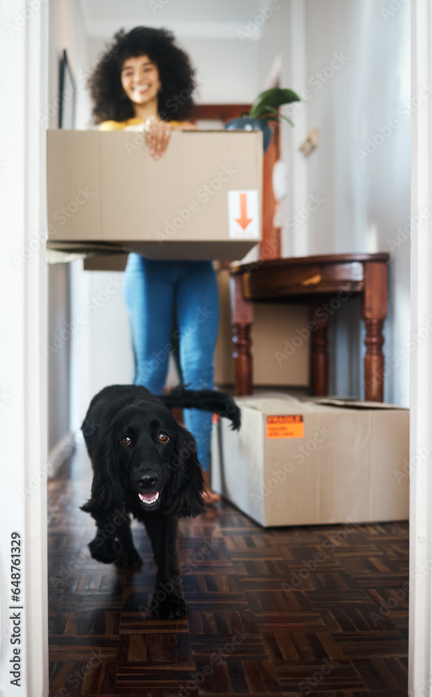 New house, moving in and woman with box, dog and smile in real estate, property or dream home. Mortgage, animal and lady homeowner with excited puppy in pet friendly apartment or investment