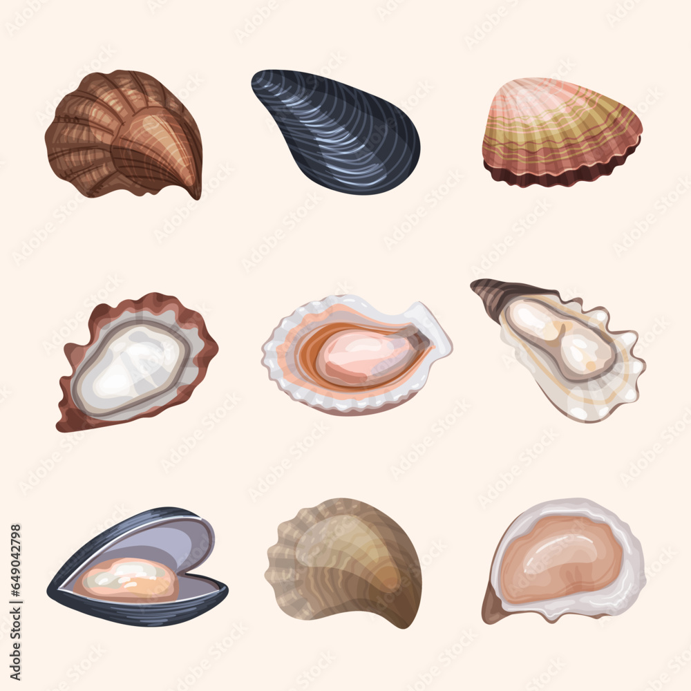 Fresh oysters. Delicious exotic marine products shells recent vector oysters food illustrations