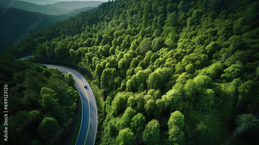 A curvy road in the middle of the forest. Top view. Generative Ai